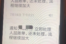 浚县为什么选择专业追讨公司来处理您的债务纠纷？